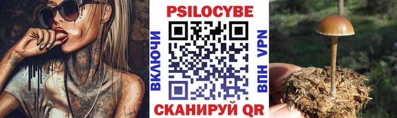 Галлюциногенные грибы мицелий  Купить где  Похвистнево 